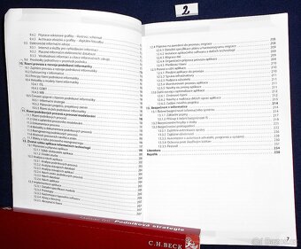 Podniková strategie a Podniková informatika - 8