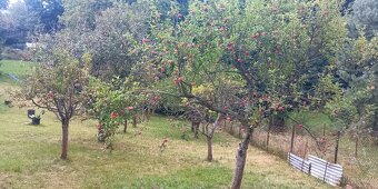 Pronájem zahrady - 8