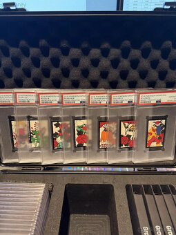 2016 Pokémon Mario Pikachu Luigi Hanafuda Plně sekvenční sad - 8