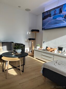 Kočičí škrabadlo, kočičí strom odpočívadlo pelíšek - 8