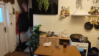 Pronájem bytu 2+1 Hrušovany u Brna - 8