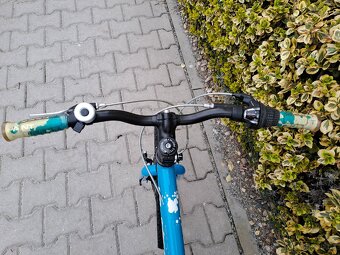 Dětské kolo Superior Paint XC20 - 8