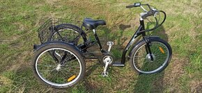 Elektrická tříkolka EASYBIKE Auriga - 8