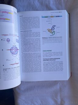 Biologie, Reece, Campbell - 8
