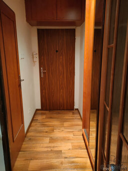Pronájem bytu 1+kk 24 m² ul.K. Světle Havířov-Podlesí, byt 1 - 8