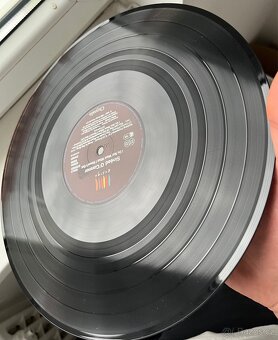 Sinéad O'Connor – I Do Not Want What I Haven't Got - 8