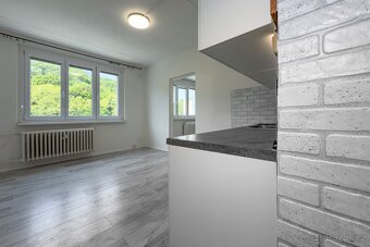 Pronájem, byt, 1+1, 35 m2, Kadaň ul. Na Podlesí, ev.č. 00661 - 8
