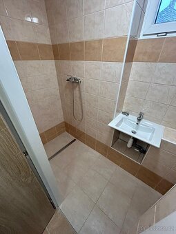 Pronájem bytu 1+1 Chodská Lhota - 8