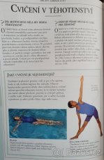 Těhotenství v otázkách a odpovědích - 8