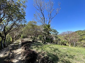 LOT 6 Bodden Bight Estate, Roatan - 8