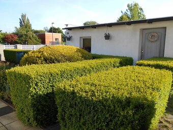 Prodej krásného RD se zahradou u Hradce Králové - 8