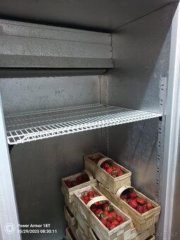Veliká dvoudveřová profi lednice - 8