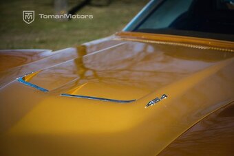 Corvette C3 6.4L V8, Manual, Big Block, 1971 - 8