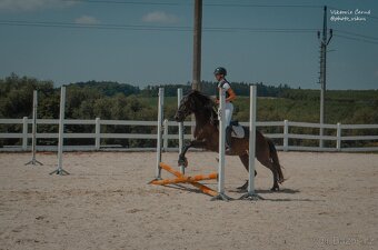 Klisna pony 147khv na rekreaci i sport - 8