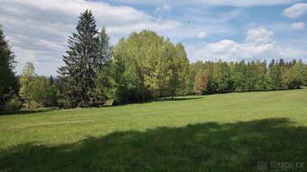 Prodej louky o celkové výměře 23 943 m2 nedaleko Frýdavy - 8
