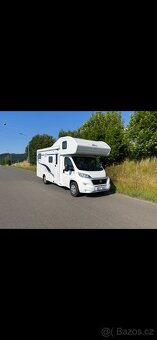 Laika etrusco (Ocean 650) - 8