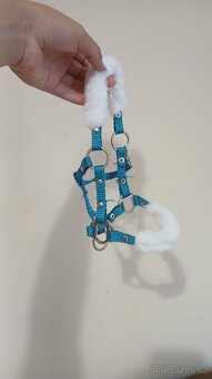 Hobby horse - 8