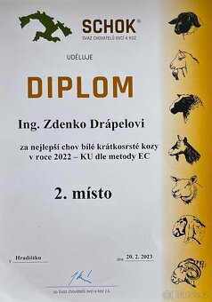 Koza "Česká bílá krátkosrstá". - 8