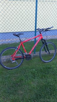 Maxbike 19 - 8