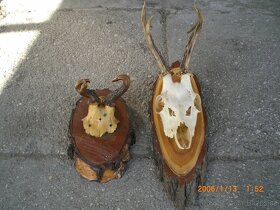 myslivost - 8