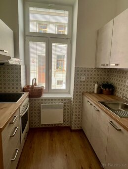 Pronájem bytu České Budějovice 1+1 40 m² centrum - 8