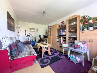 Prodej investičního bytu 3+1 v družstevním vlastnictví - 8