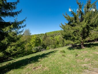 POUZE U NÁS Pozemek na samotě v lese - Lazy pod Makytou - 8