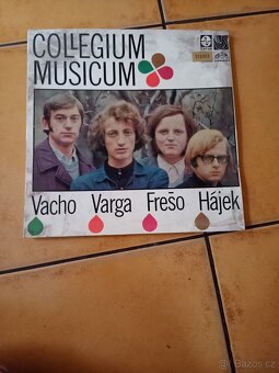 Prodám LP desky gramofonové desky - 8