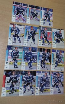 Hokejové kartičky EBEL 13/14 - 8