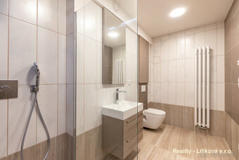 Pronájem luxusně zrekonstruovaného Atelieru 1kk ve vile Anna - 8