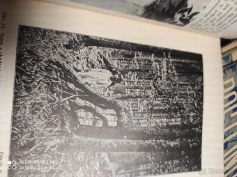 Časopisy Rostlinopis 12 ks - 8