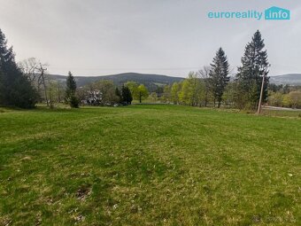 Prodej, louka, 5 869 m2, Zdíkov - Nový Dvůr - 8