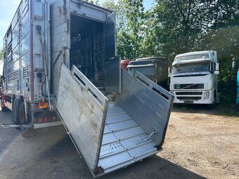 Volvo NH12 460,6X4,Nástavba na přepravu zvířat - 8
