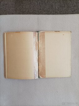 Verne: Vzducholodí kolem světa, 4.vydání, Vilímek, 1921 - 8