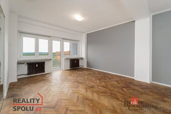 Prodej, byty/4+1, 161 m2, Klatovská třída 2867/216, Jižní Př - 8