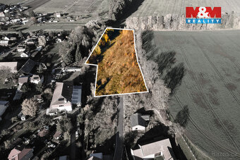 Prodej pozemku k bydlení, 15065 m², Čepí - 8