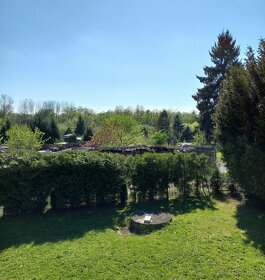 Chata u řeky Lužnice - 8