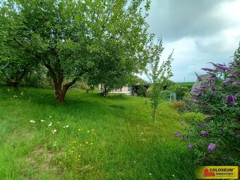 Moravská Třebová, zahrada, vlastní studna – pozemek - 8