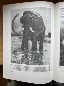 Paleontologie obratlovců. V. Špinar, Zdeněk Burian - 8
