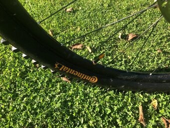 Scott Ransom 920L mulett - 8