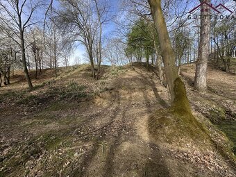 Prodej pozemků se dvěma rybníky, 15 233 m2 - Hradec u Stoda - 8