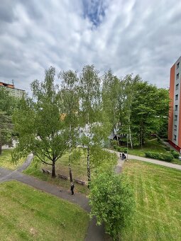 Pronájem bytu 2+1 s komorou, 63m2 - 8