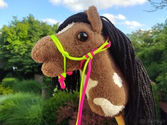 Hobby horse - 8
