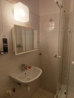 2+1 Karlovy Vary - 8