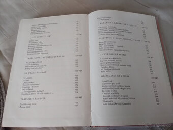 Na březích Nilu - Kapitoly Egyptské - cestopis - 8
