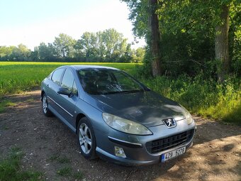 Peugeot 407 - 8