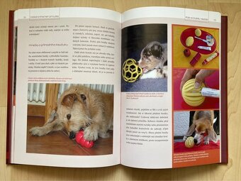 ☘️ Velká kniha her pro PSY ☘️ - 8