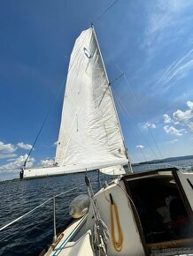 Plachetnice Bavaria 606, Lipno - 8