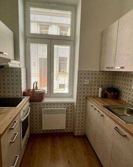 Pronájem 1+1 Štítného, České Budějovice - 8