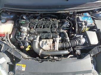 Ford Focus - 8